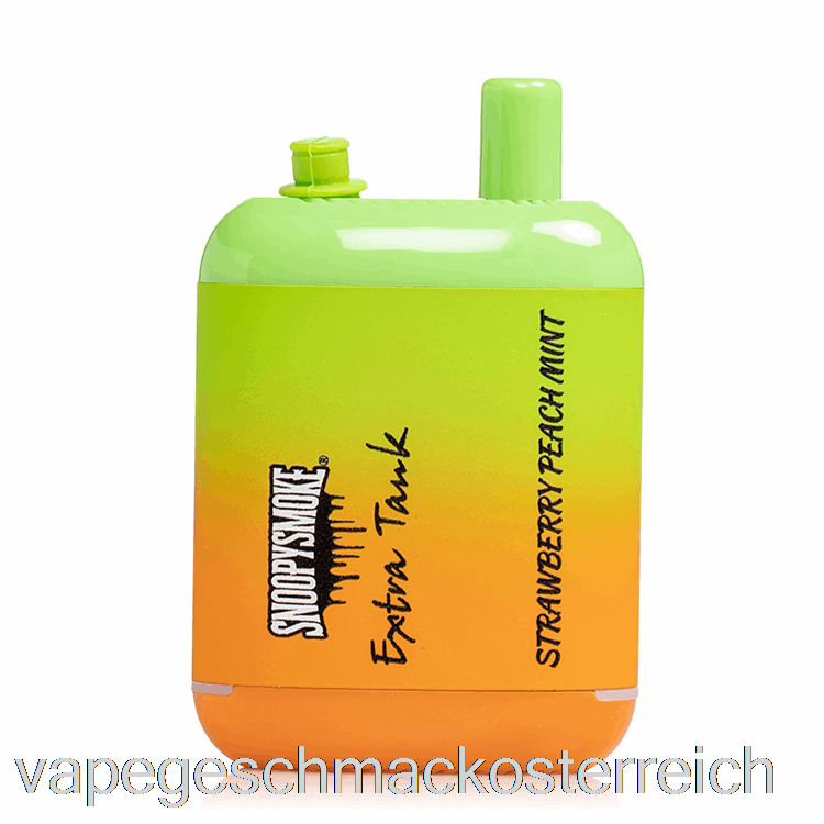 Snoopy Smoke Extra Tank 2 15000 Einweg-Erdbeer-Pfirsich-Minze-Vape-Geschmack